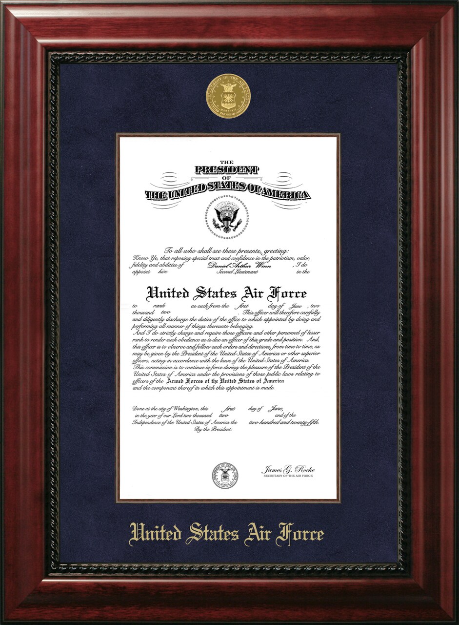 Patriot Frames Air Force 10x14 Certificate Executive Frame with Gold Medallion with Mahogany Filet